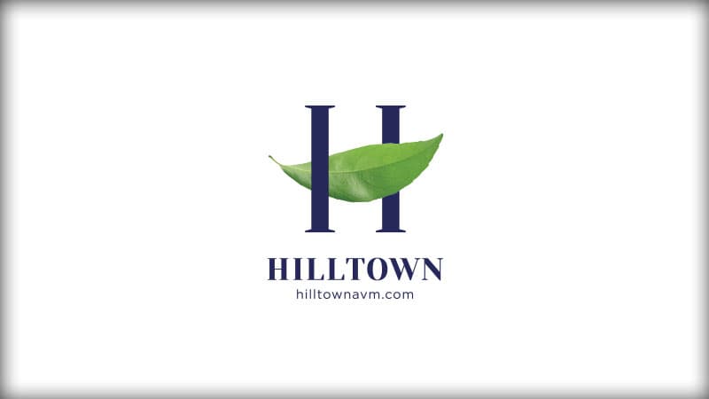 hilltown